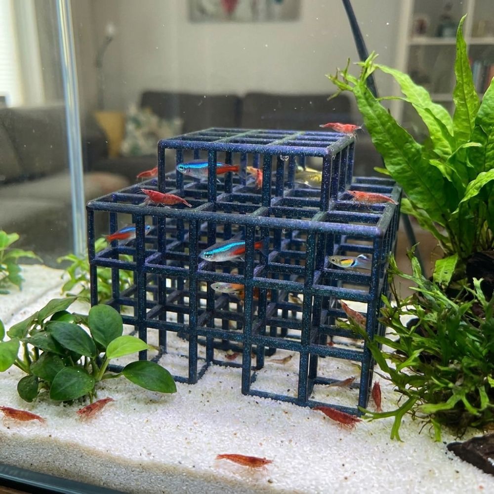 Rifugio per Pesci e Gamberetti - Aquarium Plant Live recensione e prezzo
