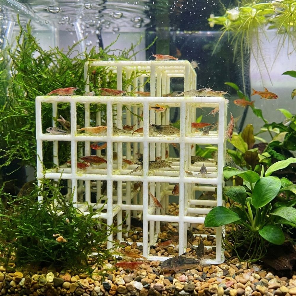 Rifugio per Pesci e Gamberetti - Aquarium Plant Live recensione e prezzo