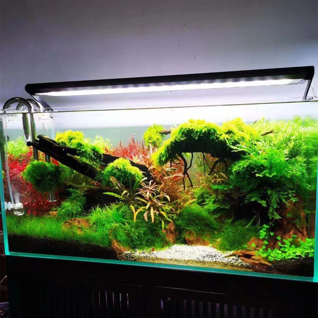 Lampada per Acquario WEEK AQUA - Aquarium Plant On Top recensione e prezzo