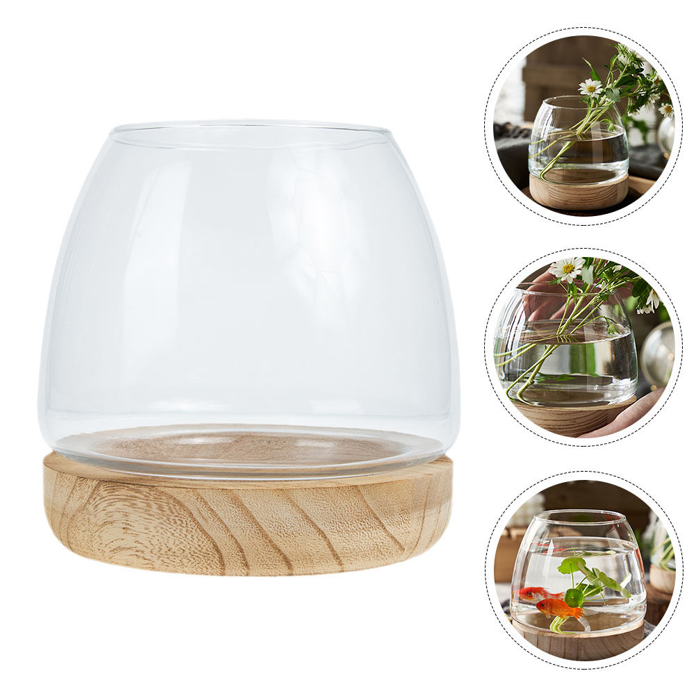 Set di Vasi Idroponici in Vetr - Planted Aquarium Bowl recensione e prezzo