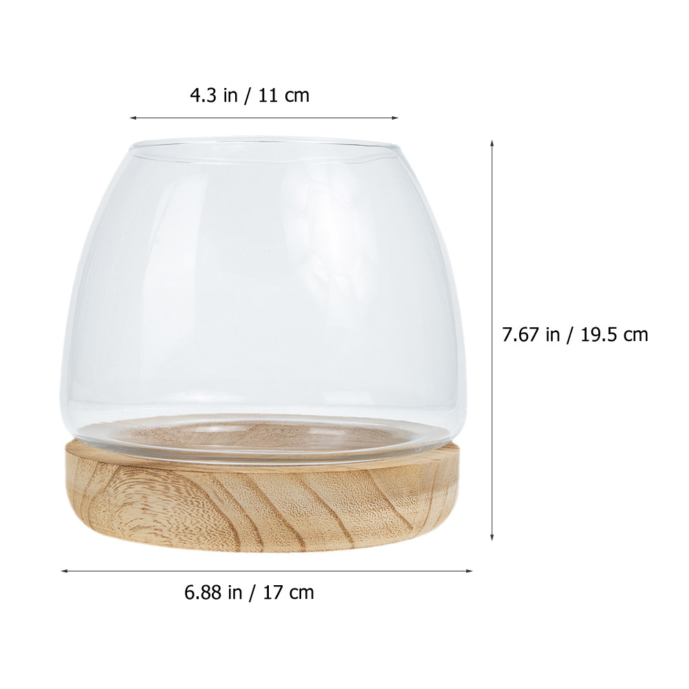 Set di Vasi Idroponici in Vetr - Planted Aquarium Bowl recensione e prezzo