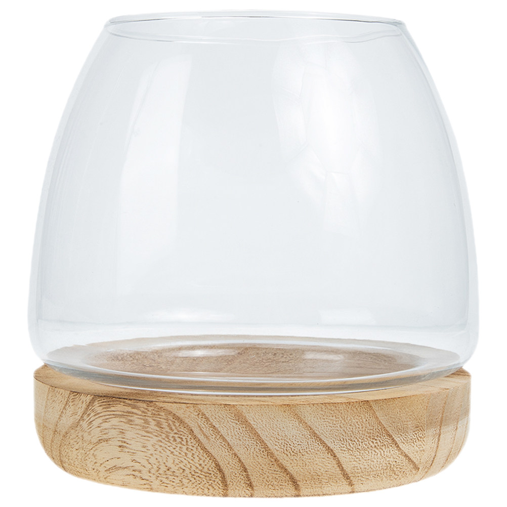 Set di Vasi Idroponici in Vetr - Planted Aquarium Bowl recensione e prezzo