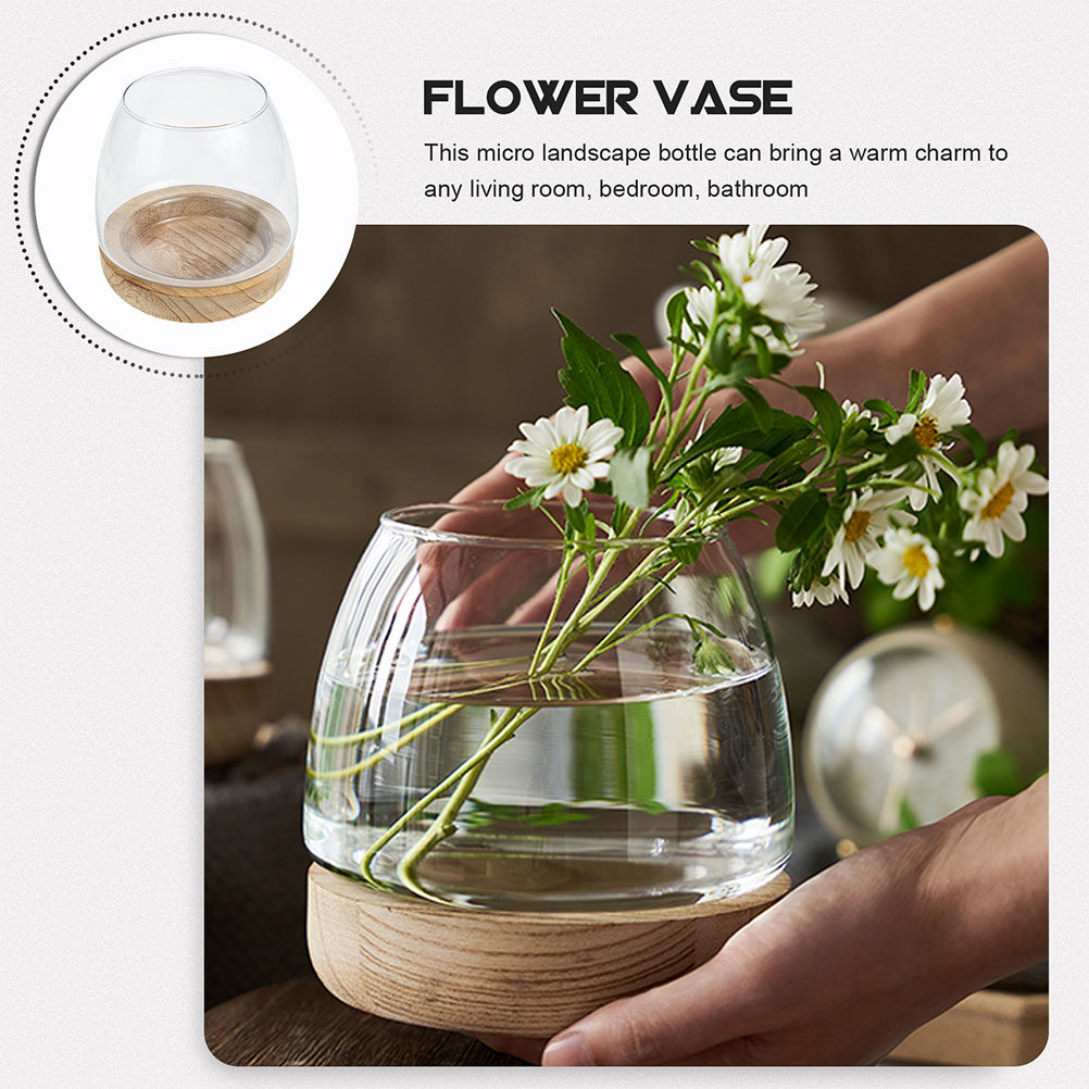 Set di Vasi Idroponici in Vetr - Planted Aquarium Bowl recensione e prezzo